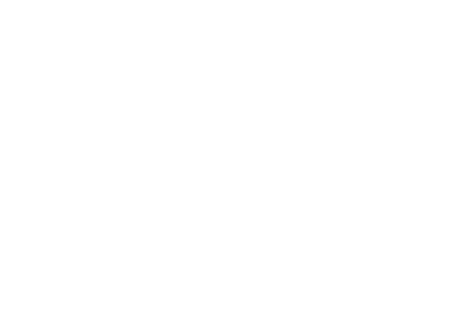 login-Icon
